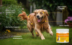 Load image into Gallery viewer, Salmon Flavor Omega Skin & Coat soft chews with Wild Alaskan Salmon Oil