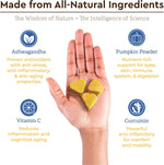 Load image into Gallery viewer, Super Multi-Vitamin Peanut Butter Soft Chew with Ashwagandha