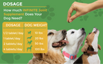 Load image into Gallery viewer, Hip & Joint Advanced Formula - 90 Mobility & Dog Joint Pain Relief Chews - Glucosamine, Chondroitin, MSM, & Turmeric for Superior Joint Health