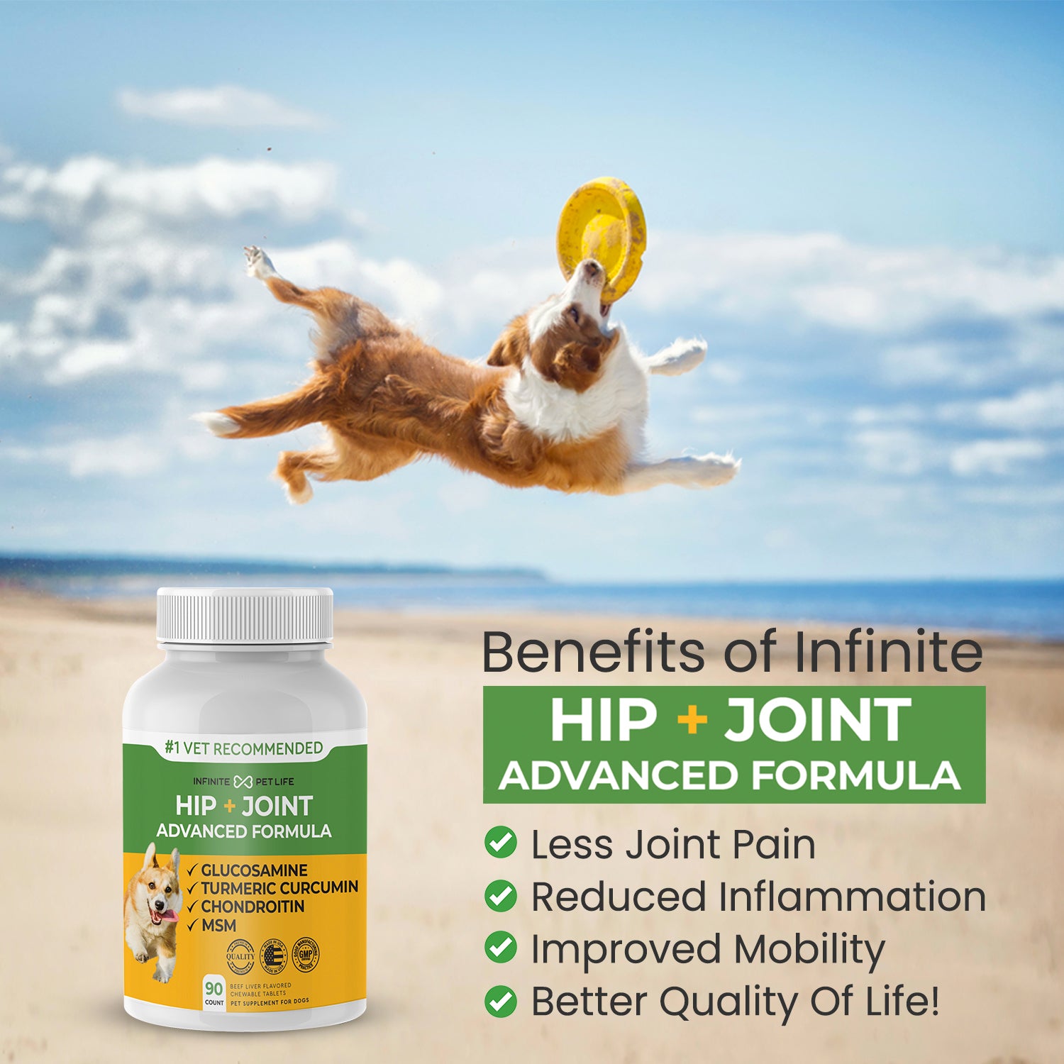Hip & Joint Advanced Formula - 90 Mobility & Dog Joint Pain Relief Chews - Glucosamine, Chondroitin, MSM, & Turmeric for Superior Joint Health