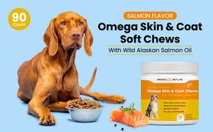 Salmon Flavor Omega Skin & Coat soft chews with Wild Alaskan Salmon Oil