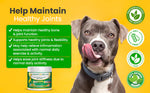 Load image into Gallery viewer, Advanced Hip &amp; Joint Supplement Powder/Meal Topper
