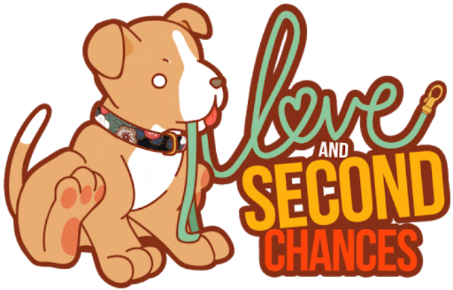 Love and Second Chances